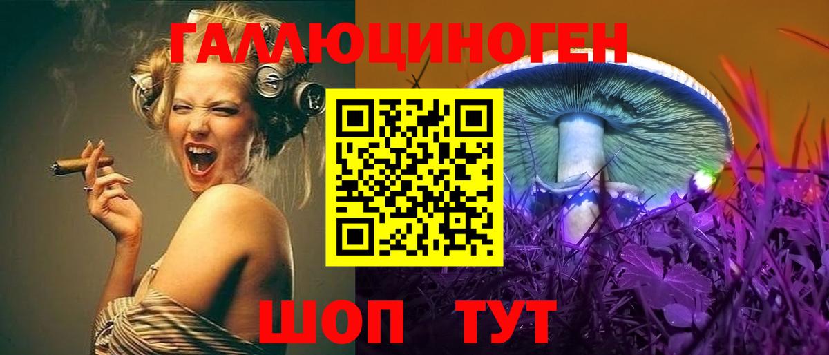 Галлюциногенные грибы Psilocybine cubensis Елец